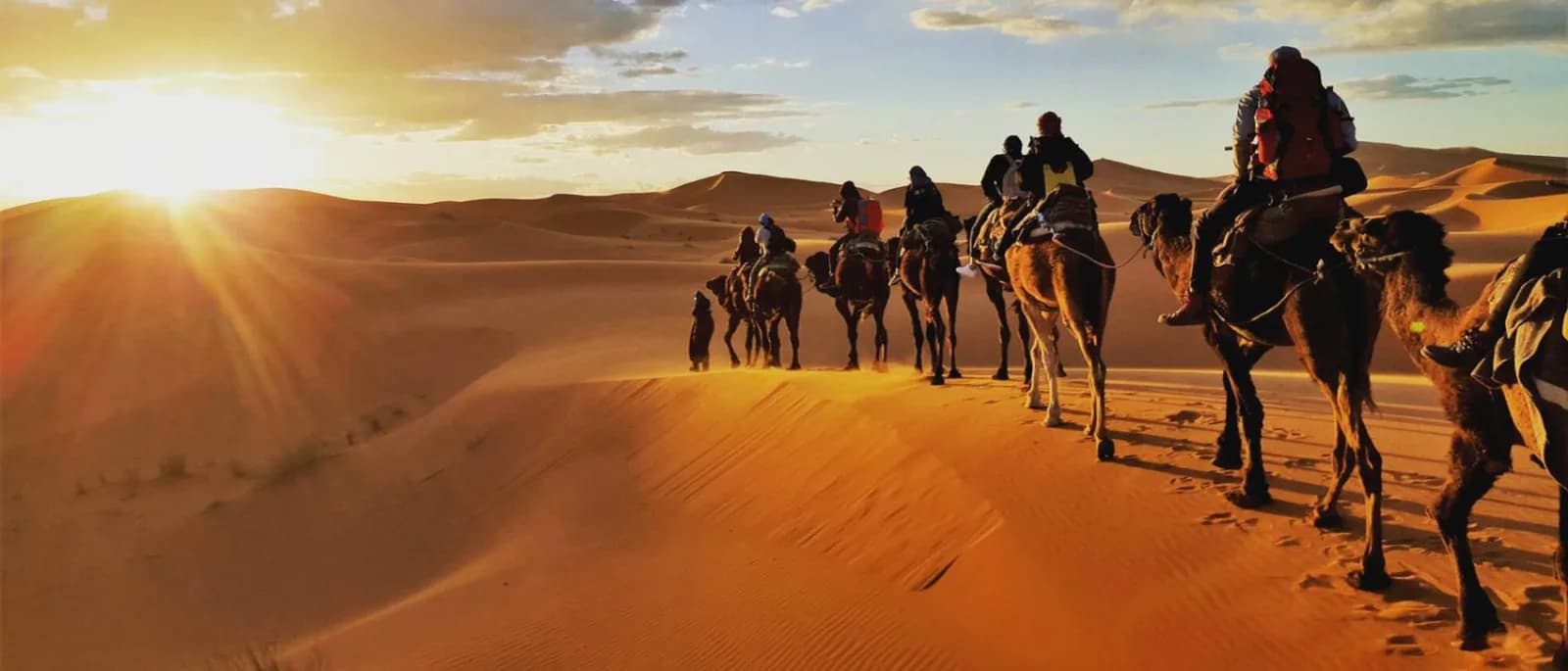 Top Adventures to Do in Marrakech: 7 Unmissable Picks