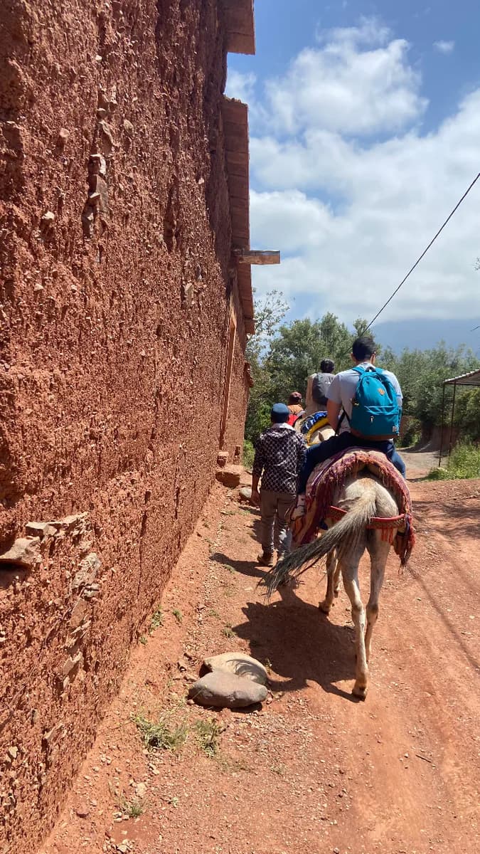 Muleback Adventure Through high Atlas Mountain Countryside