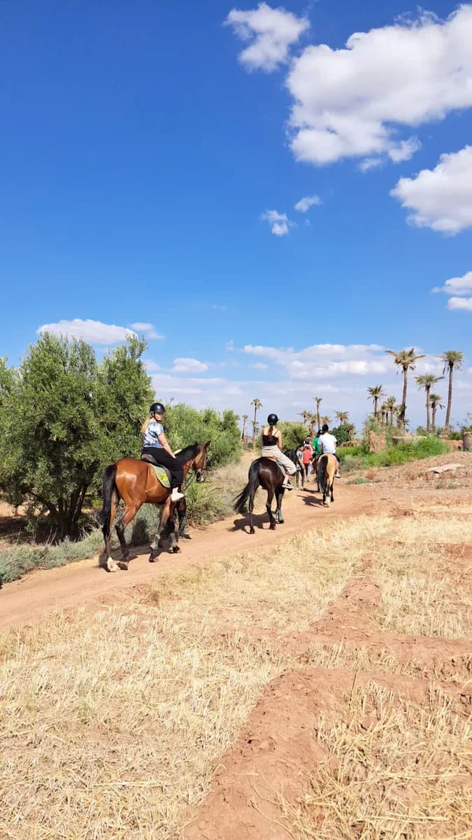 Horseback Ride Through Morocco’s Palm Groves