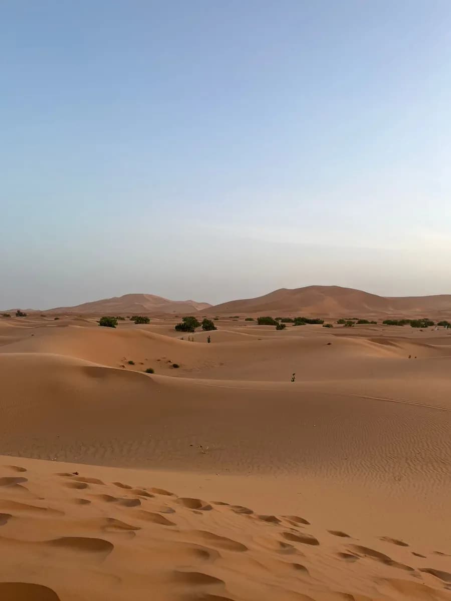 Marrakech Desert Tour 2