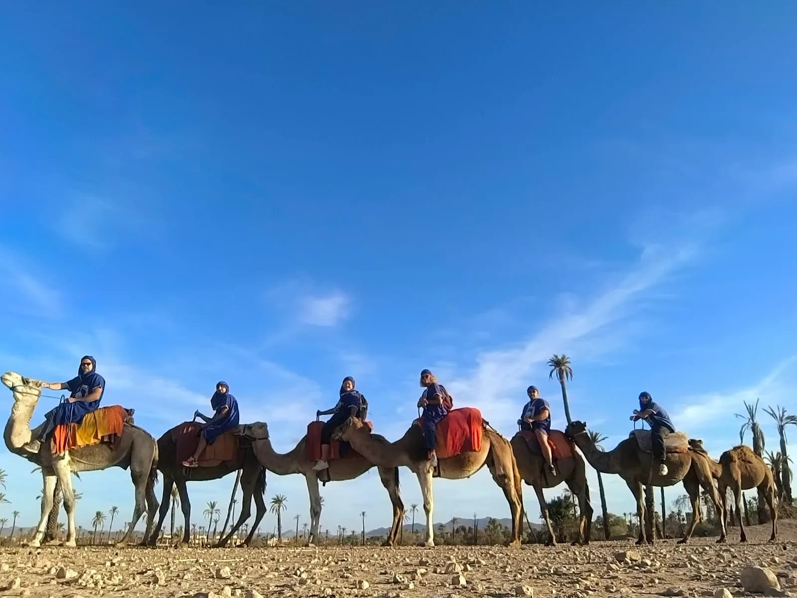 Camel Ride & Quad Adventure Through Morocco’s Palm Groves