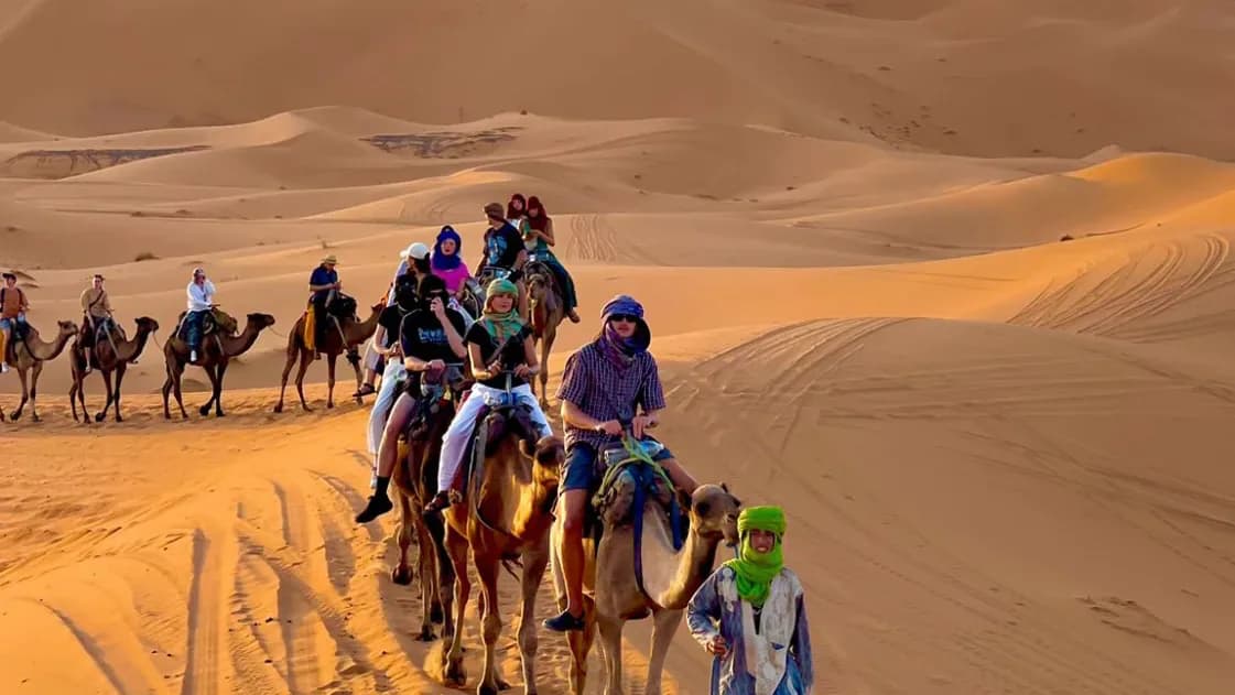 Desert Camel Ride, Oasis Walk & Mountain Views