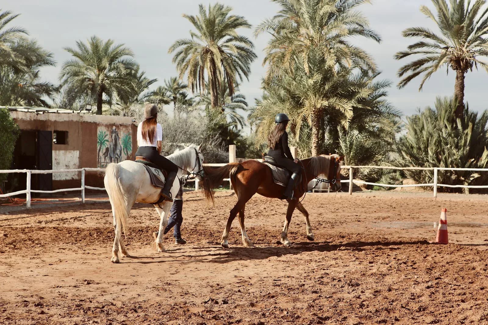 Horseback Riding Among Morocco’s Palms