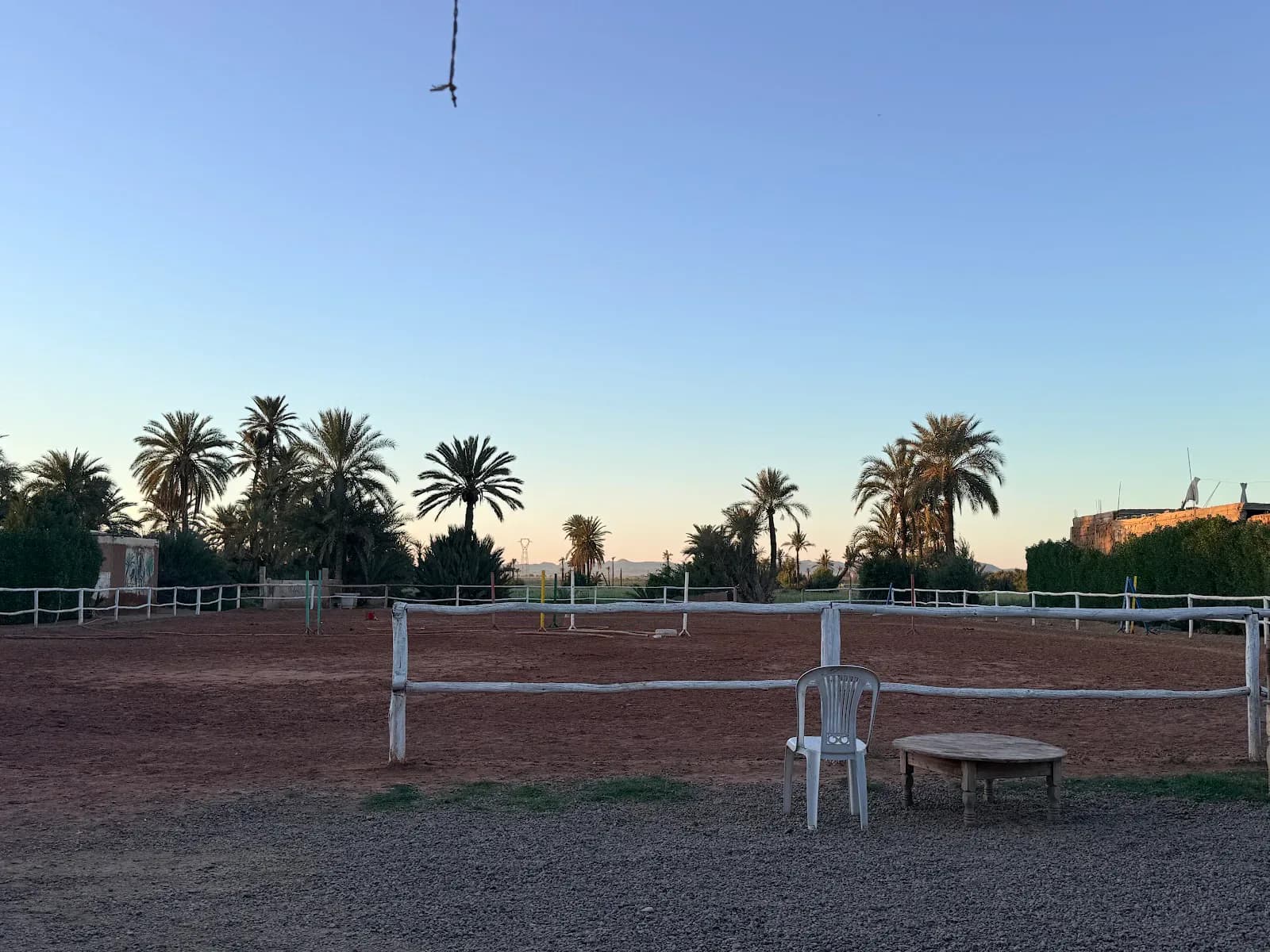 Cheval Marrakech 3