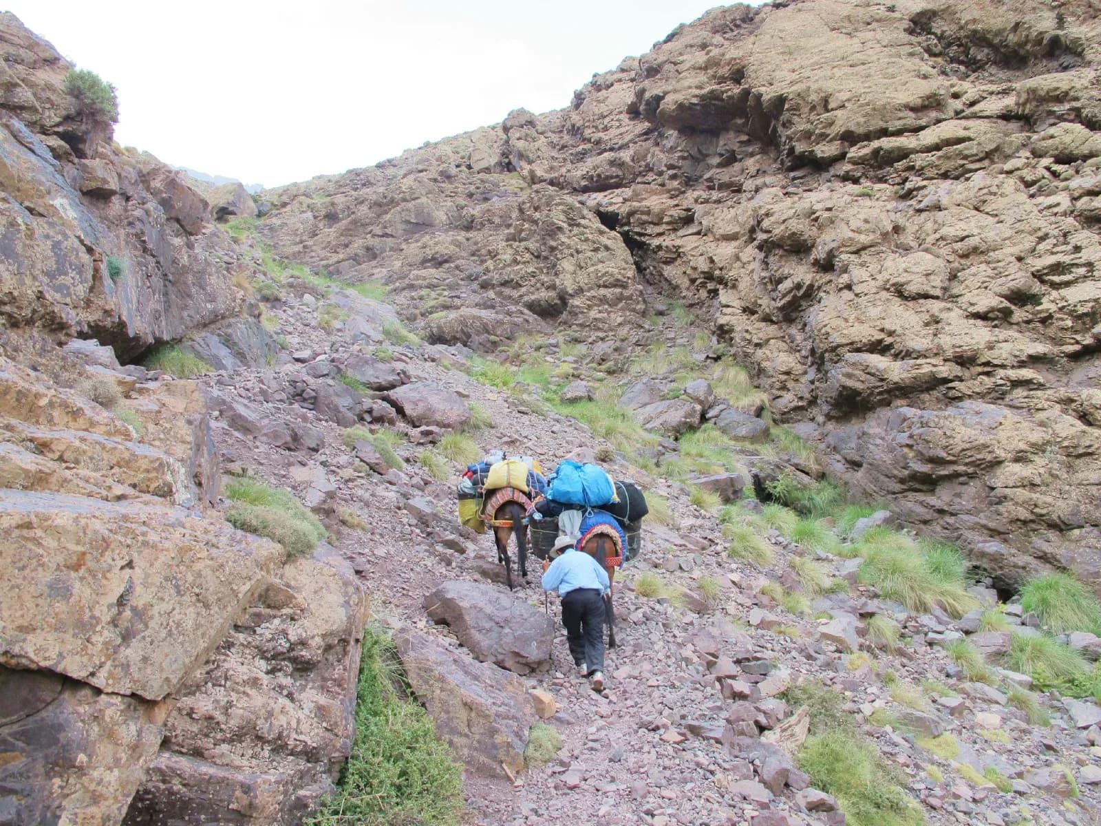 High Atlas Summit & Valley Hike