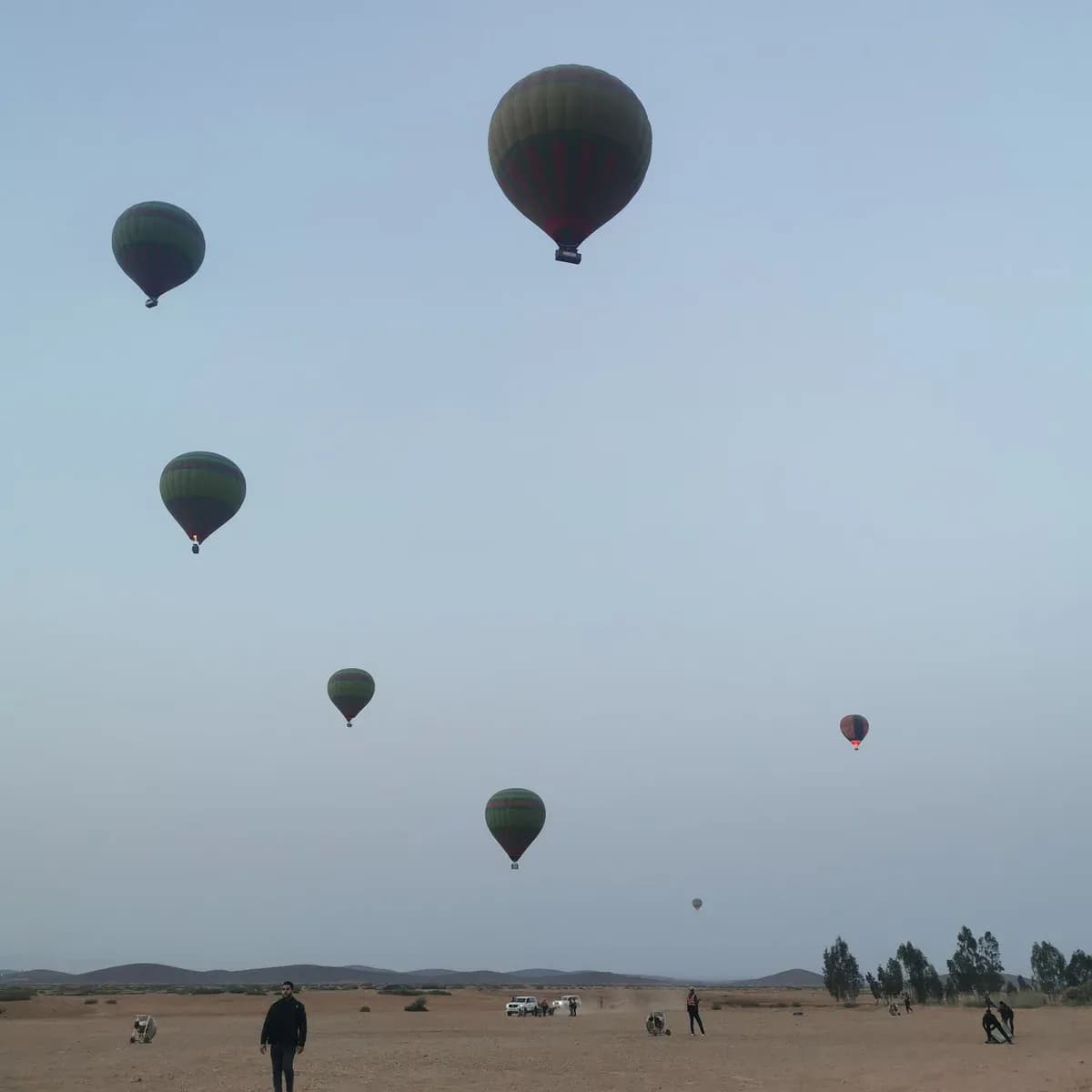 Abdo 4