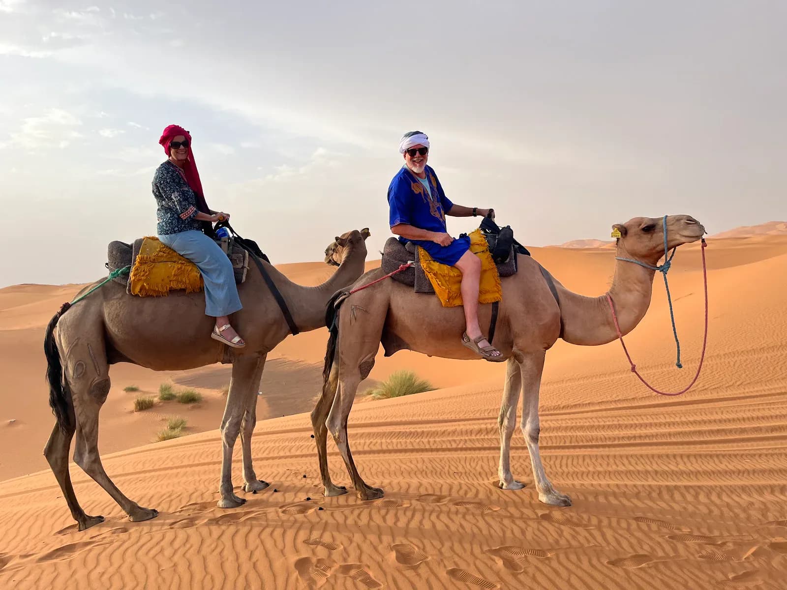 Top Desert 2