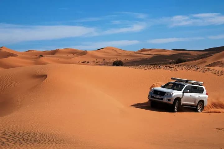 Desert 4x4 & Camel Ride Adventure