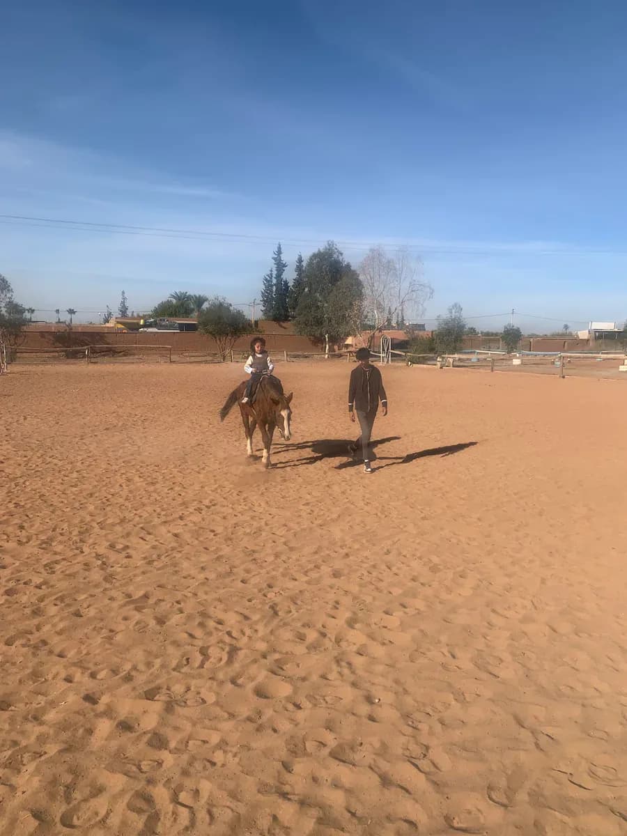 Ranch Family Horse 2