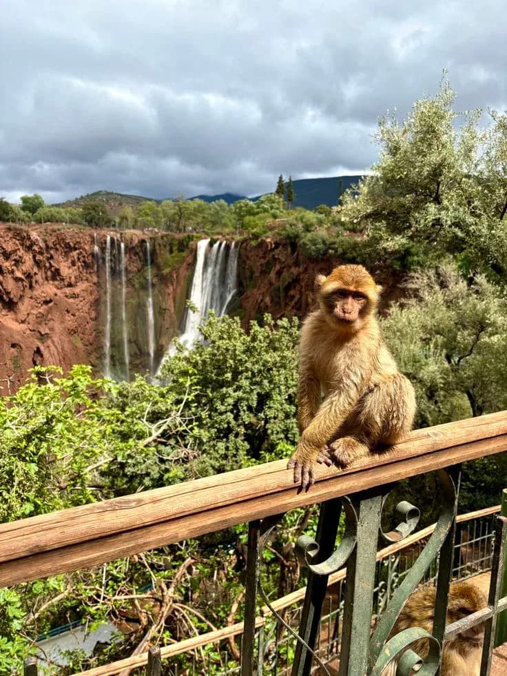 Discover Ouzoud Waterfalls, Morocco’s highest waterfalls and one of North Africa’s most spectacular natural attractions.