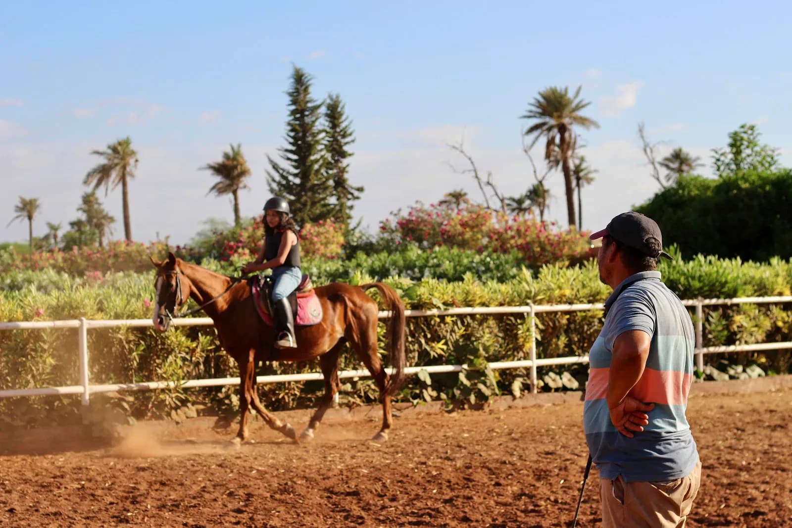 Les Amis Du Cheval Marrakech 2