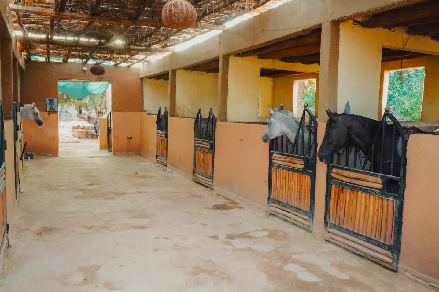 Premium Horse & Quad Tours 2