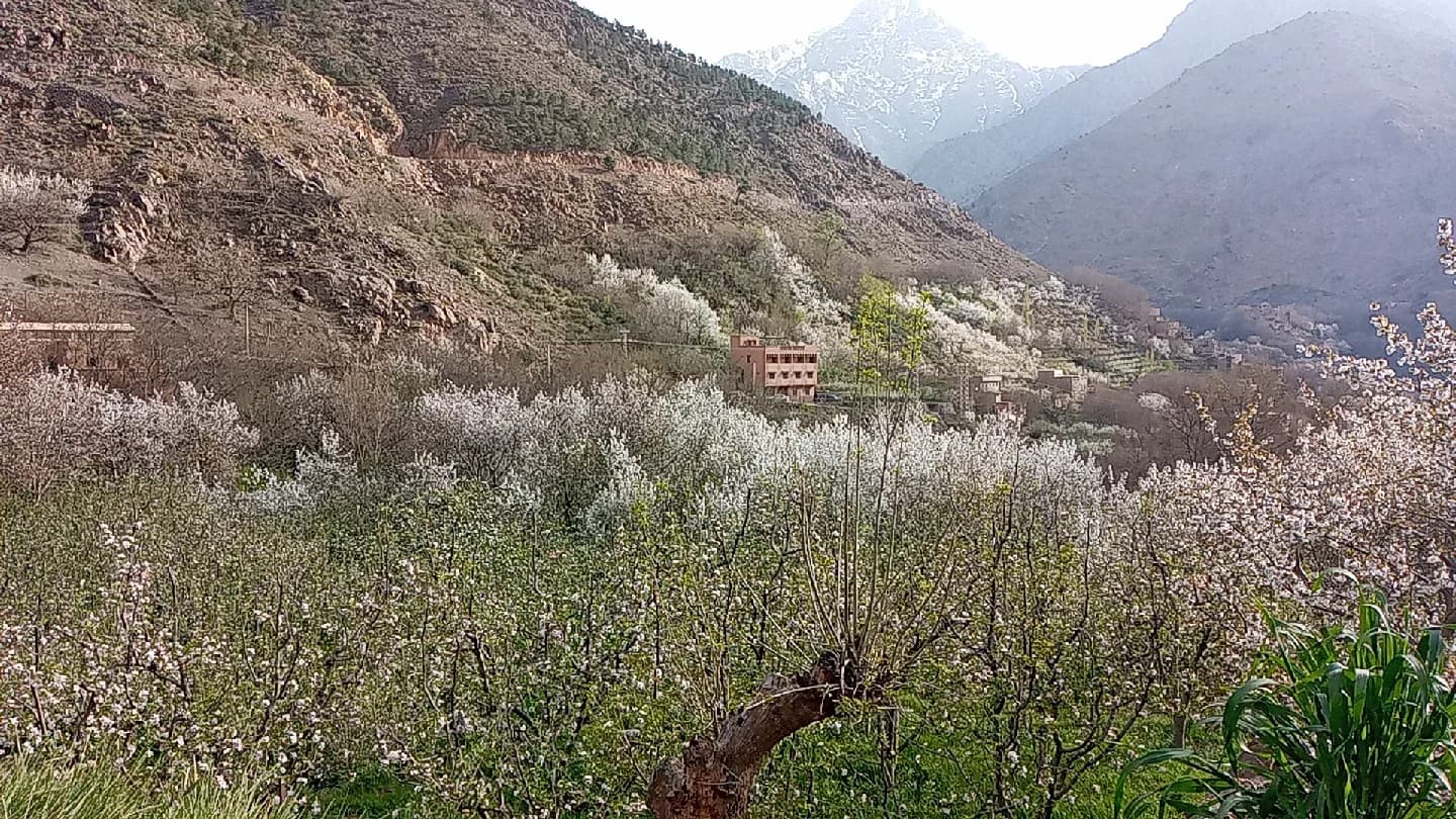 Imlil Guide Tours 3