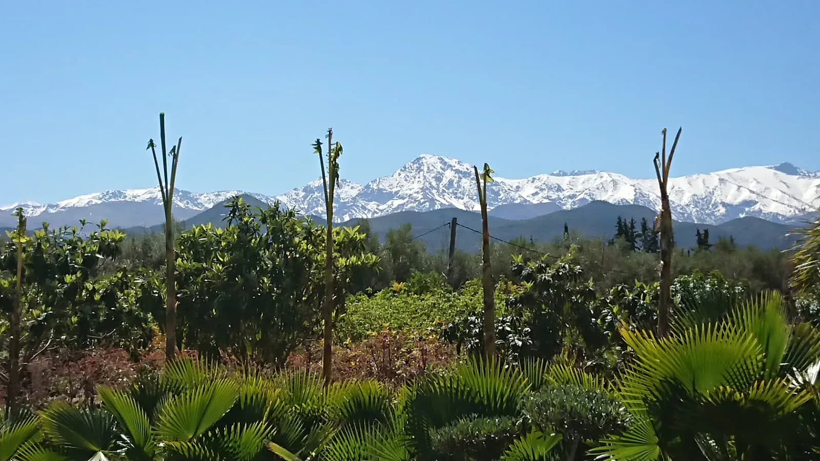Paradis du Safran 4
