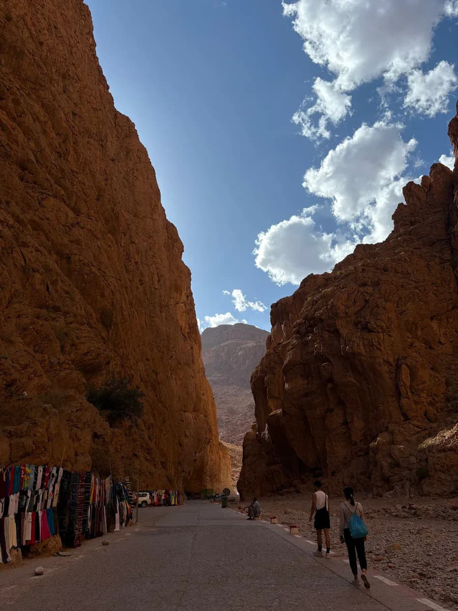 Tours in Marrakech 3