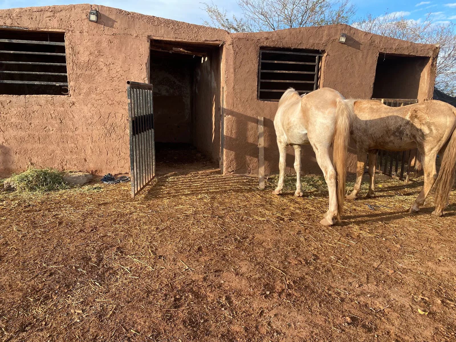 Moroccan Farm & Animal Encounter