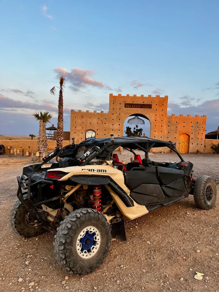 Desert Buggy Adventure & Camel Ride