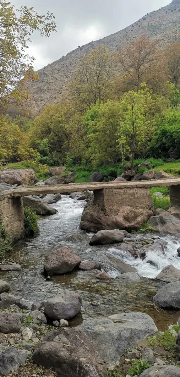 Imlil Guide Tours 2