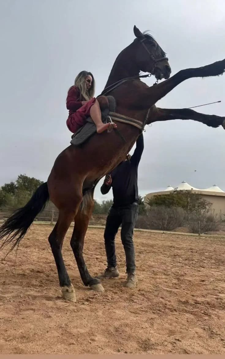 Equitation Cheval Marrakech 4