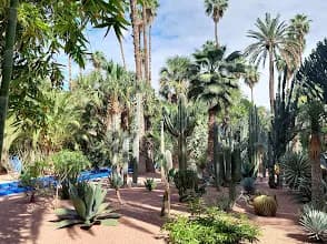 Moroccan Gardens, Heritage & Camel Ride