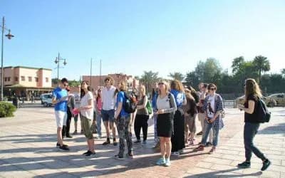 Moroccan City & Culture Walking Experience