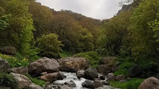 Atlas Mountain River & Orchard Walk