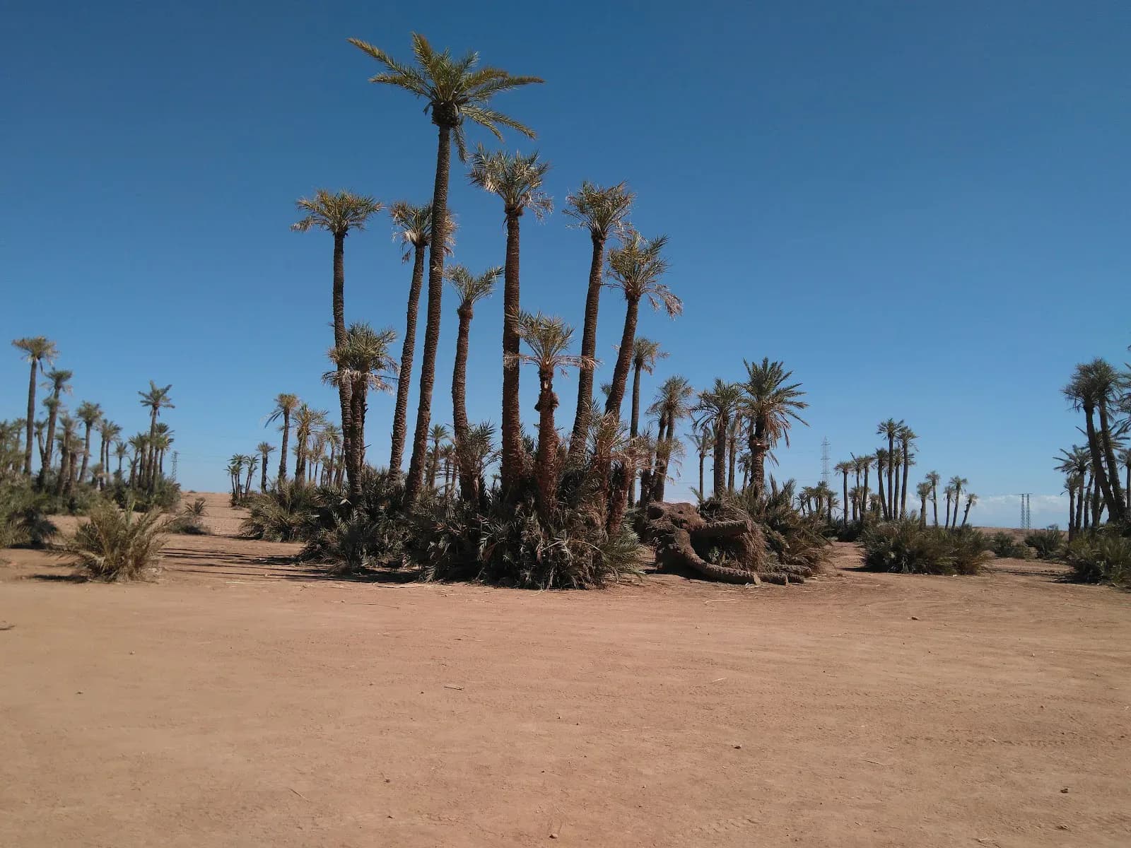 Marrakech Quad Action 4
