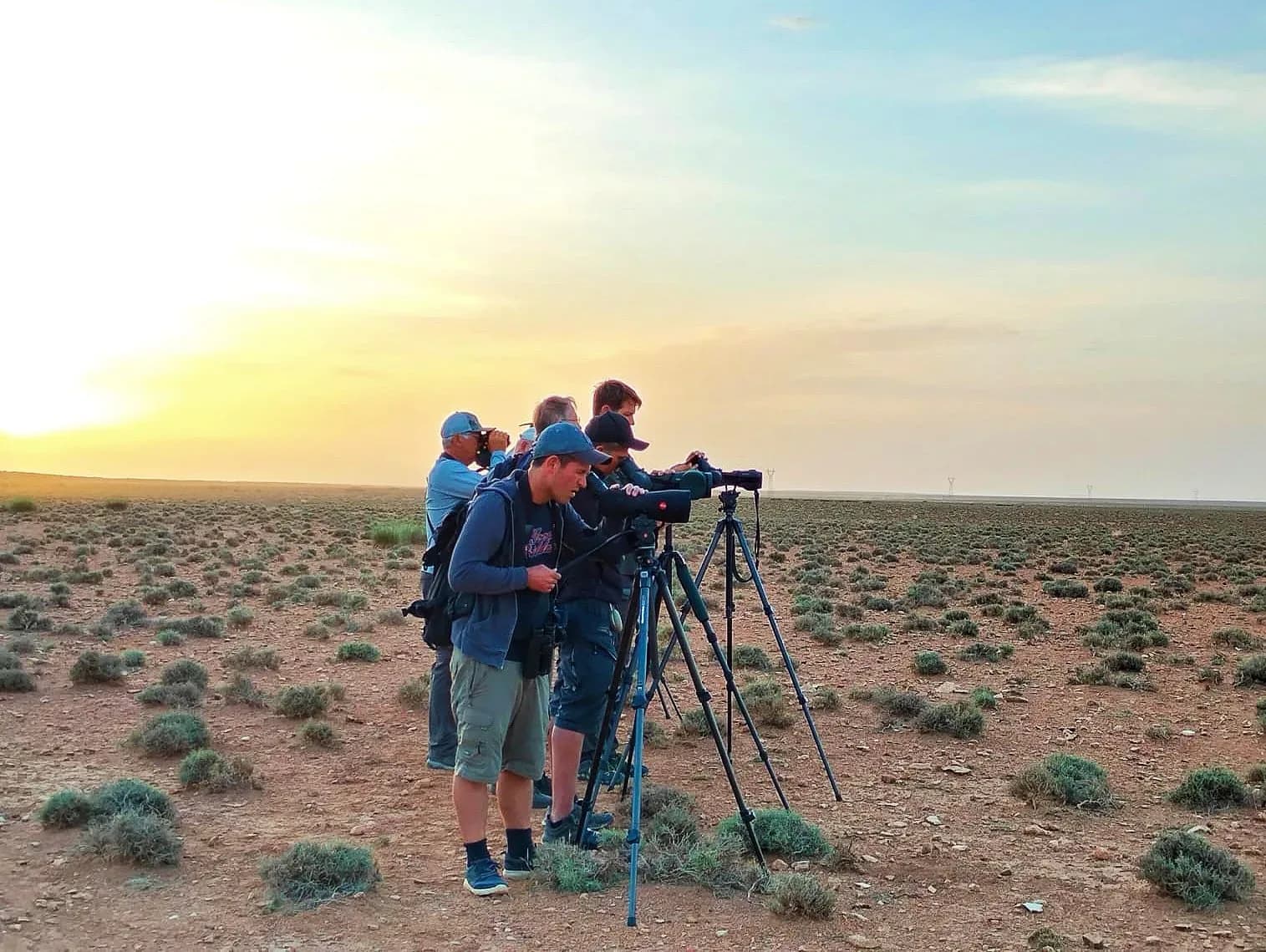 Moroccan Desert & Mountain Birdwatching Adventure
