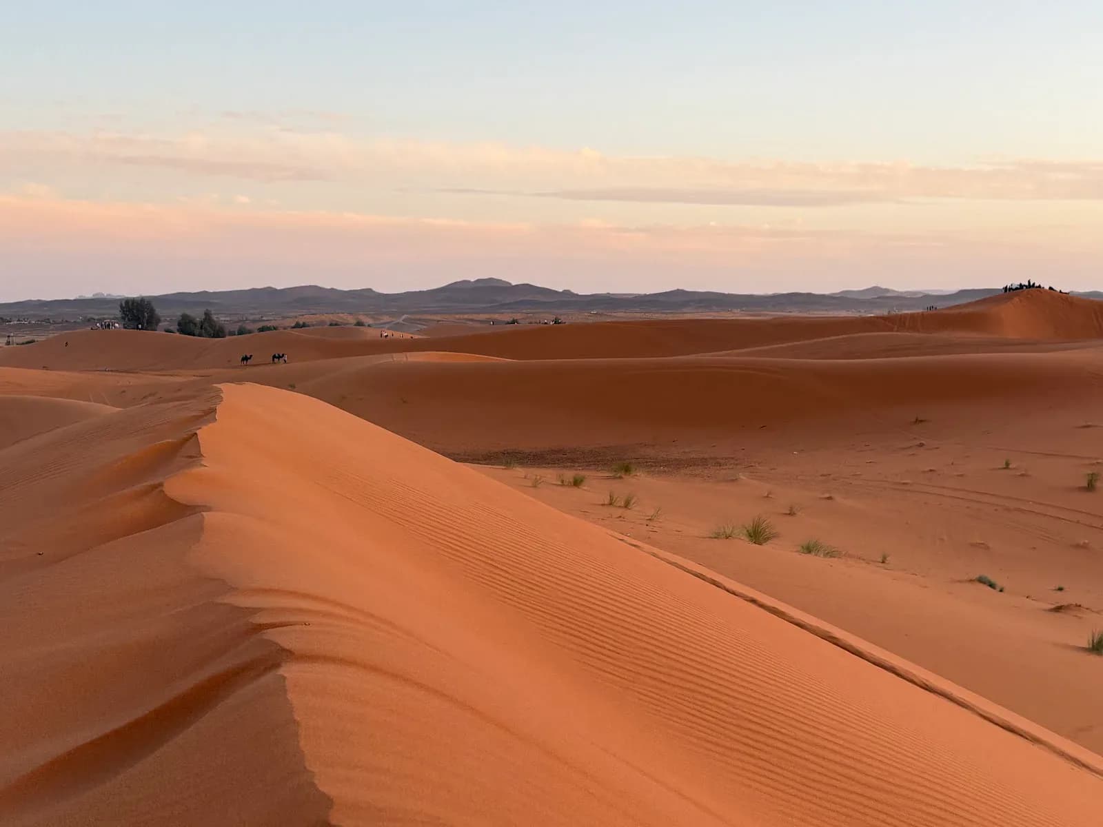 Guide Morocco Tours 2