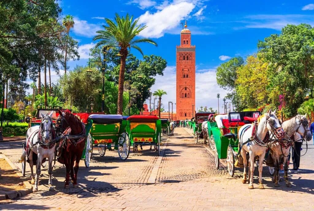 Marrakech Heritage Walk Through Palaces, Gardens & Medina Life