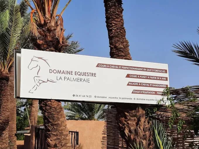 Horse Riding in a Moroccan Palm Oasis