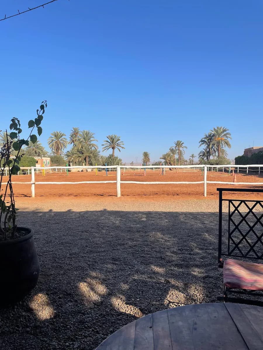 Club Horse Marrakech Randonnée & Balade 3
