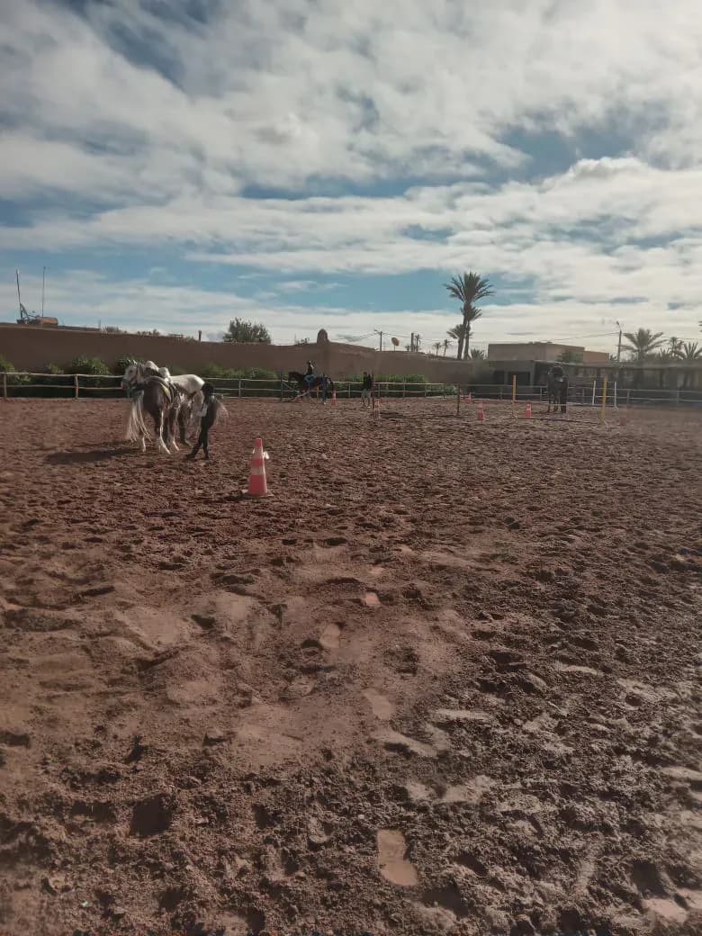 Equitation Marrakech Palmeraie 4
