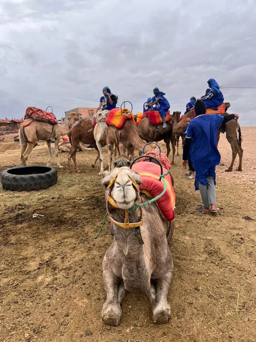Sahara Agafay Activities 4