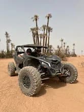 Desert Adventure by Camel and Quad