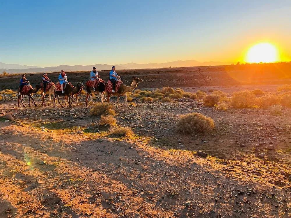 Moroccan Camel Ride, Tea & Mountain Valley Adventure