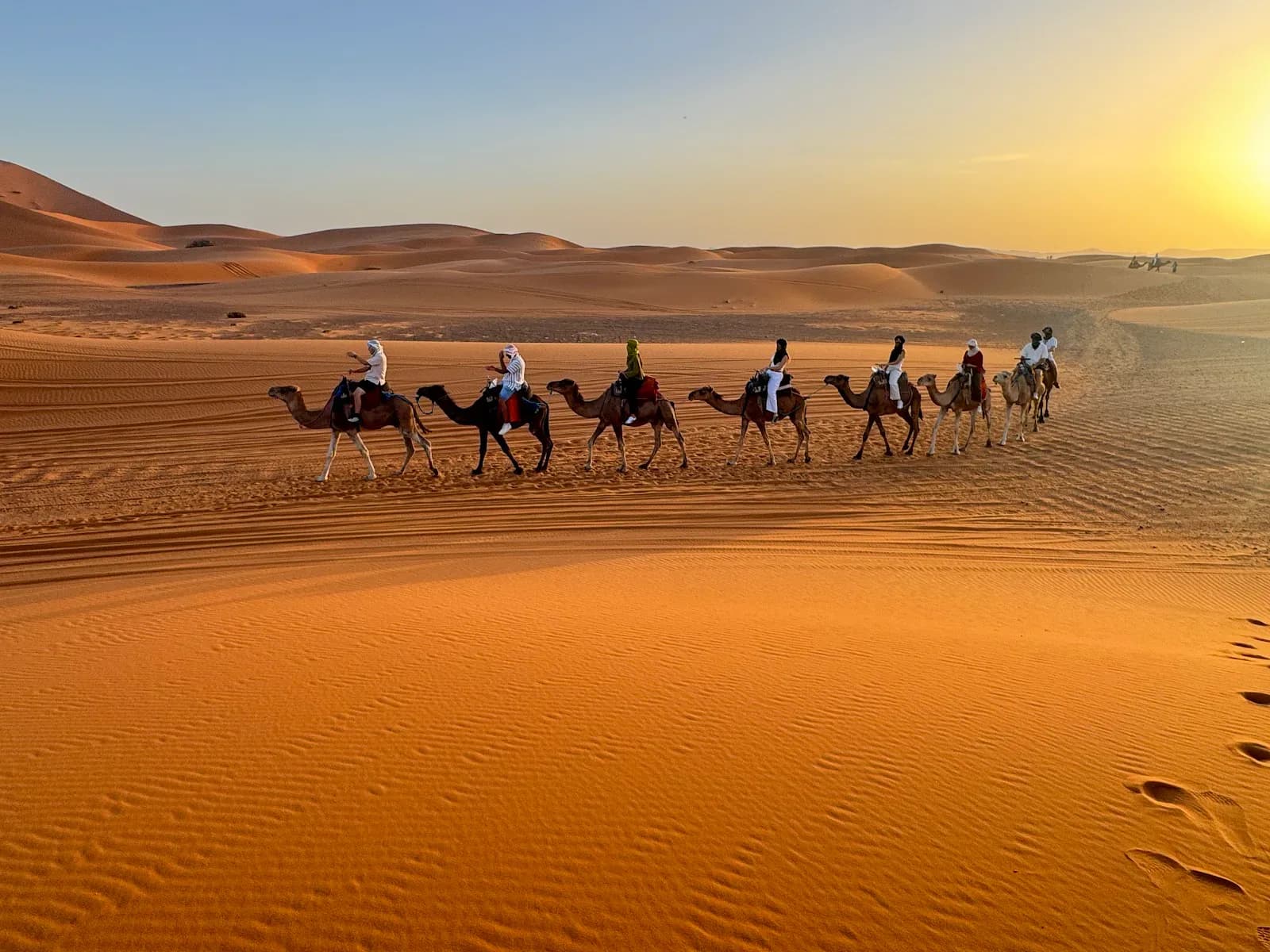 Nomad Expeditions 3