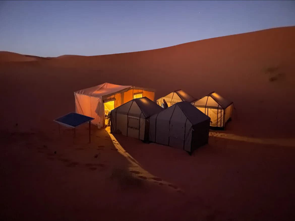 Sahara Camel Trips 3