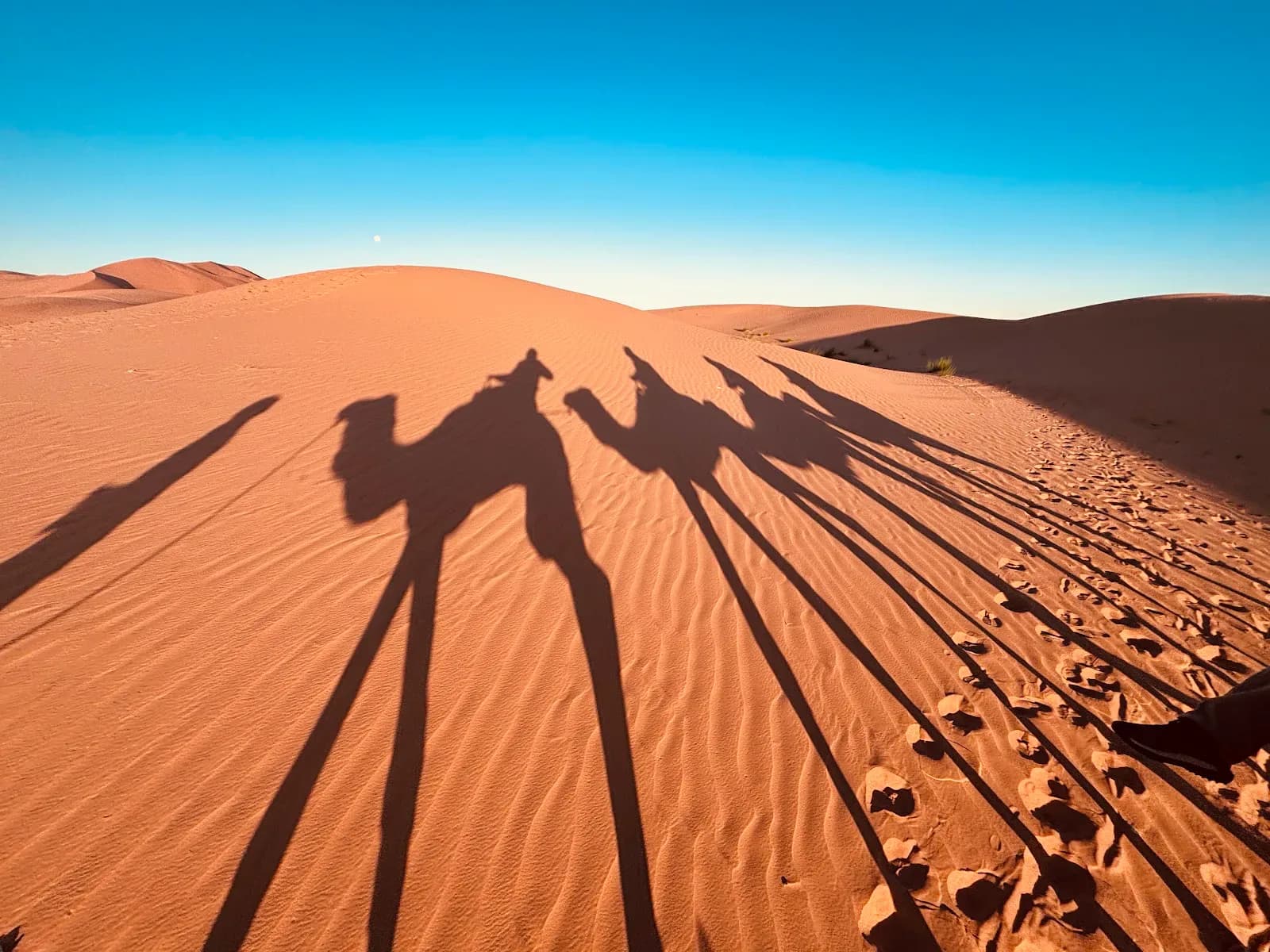 Morocco Desert trips 3
