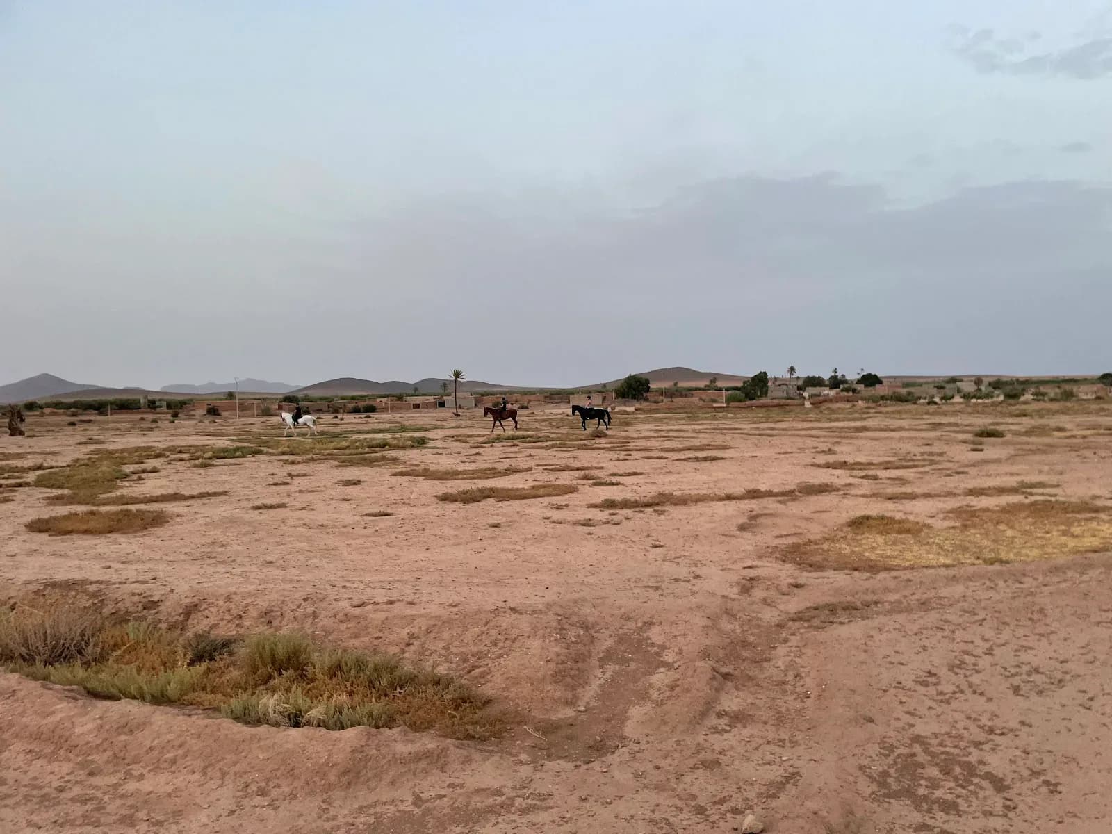 Sunset Horse Ranch 2