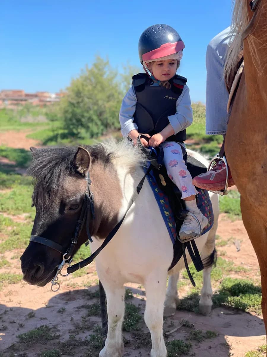 Cheval Palmeraie Marrakech 3