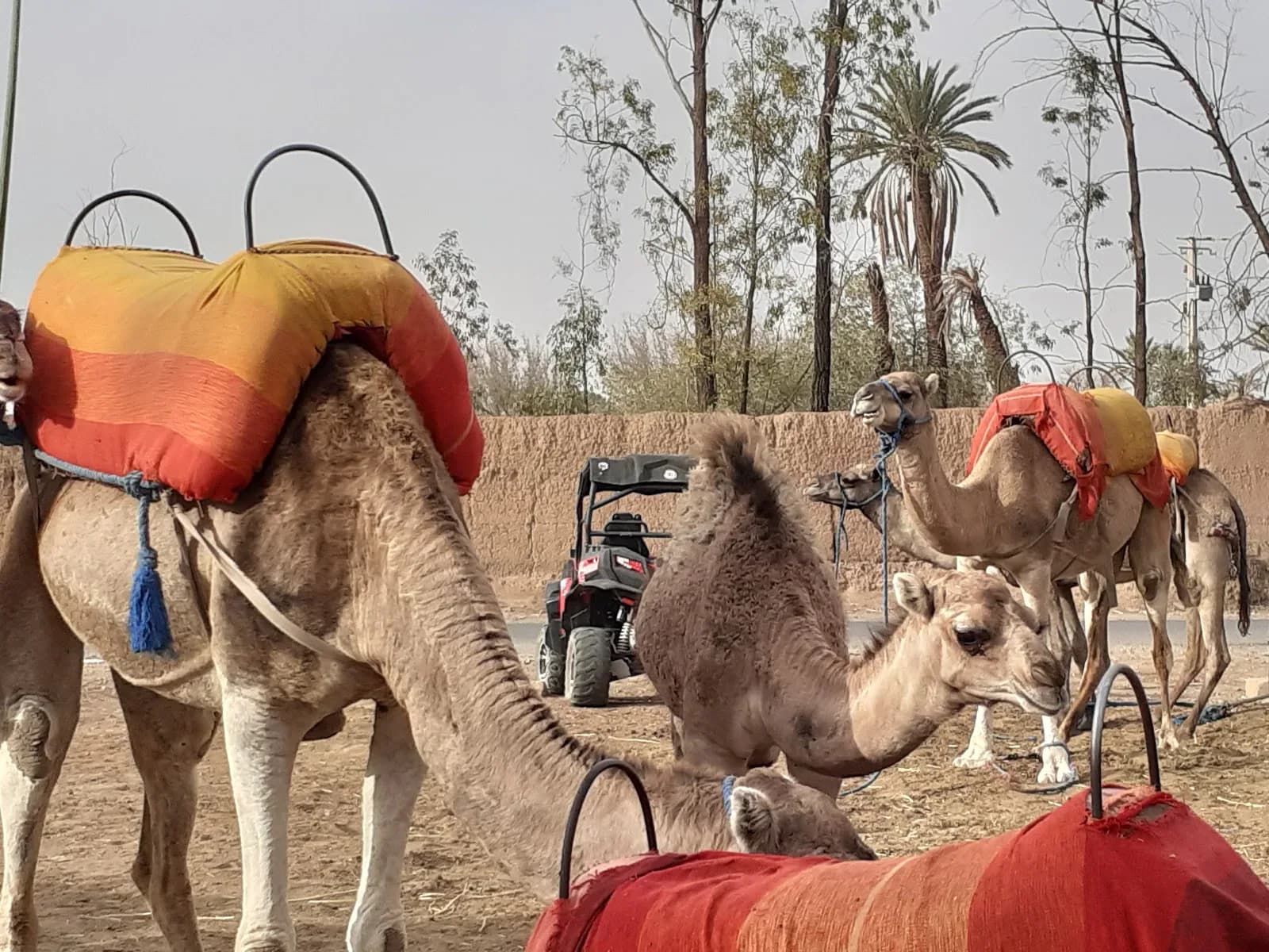 Marrakech Quad Action 3