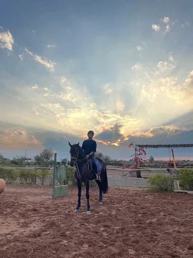 Horseback Riding Through Morocco’s Open Landscapes