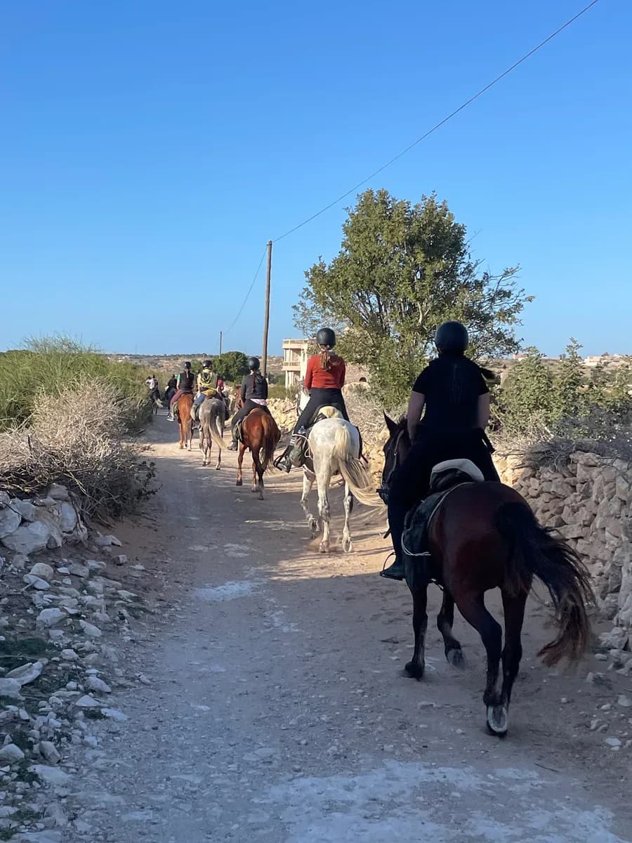 Moroccan Horseback Adventures 2