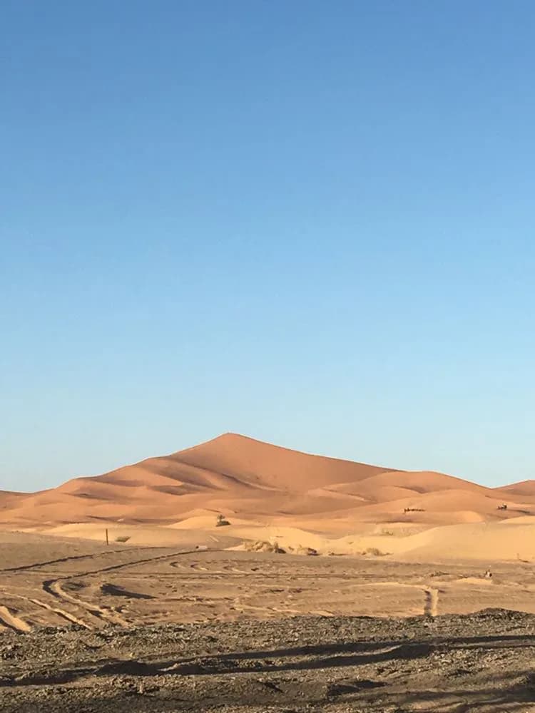 Camel Ride Through the Moroccan Sahara & Desert Camp