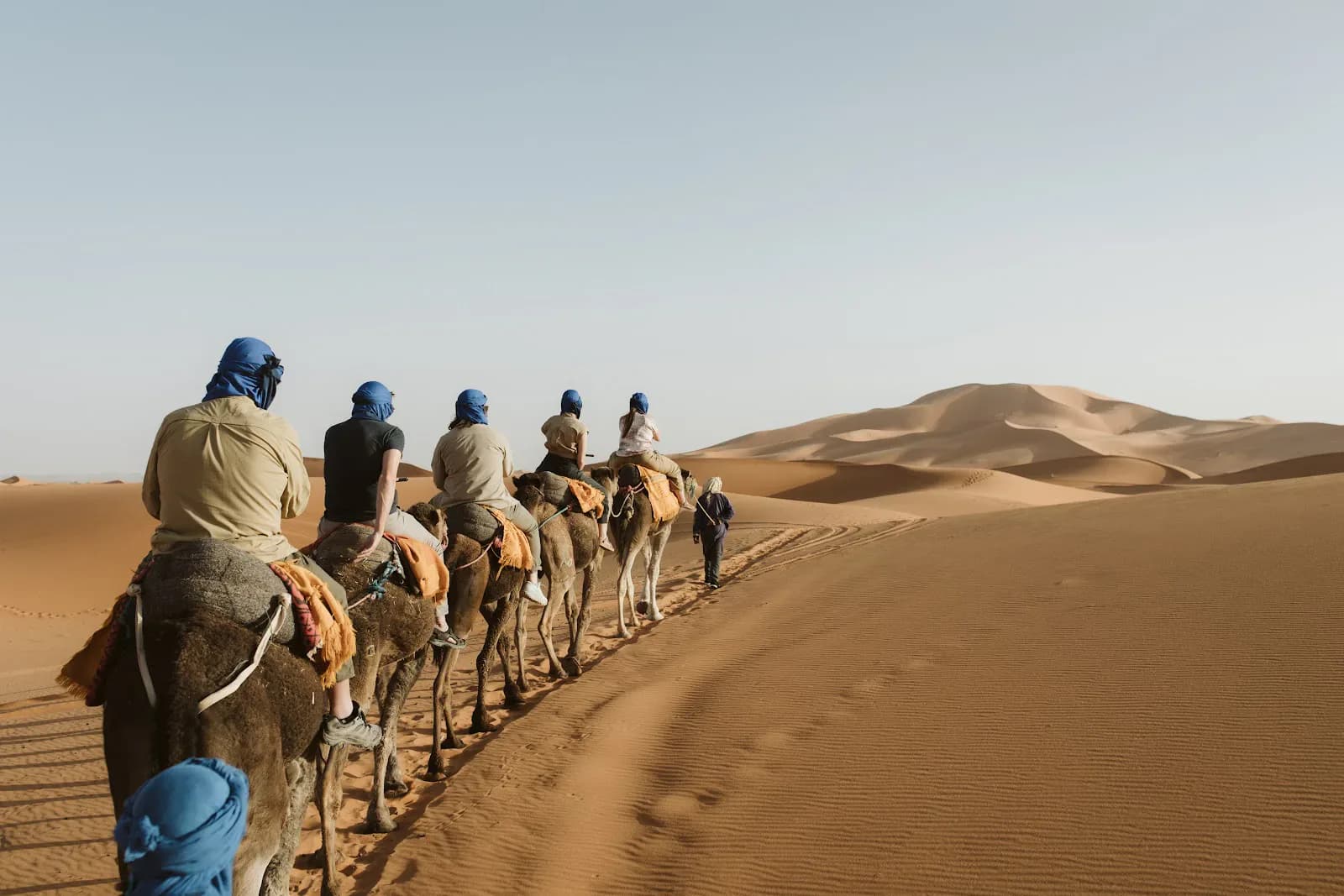 Camel Ride Through Morocco’s Desert Dunes