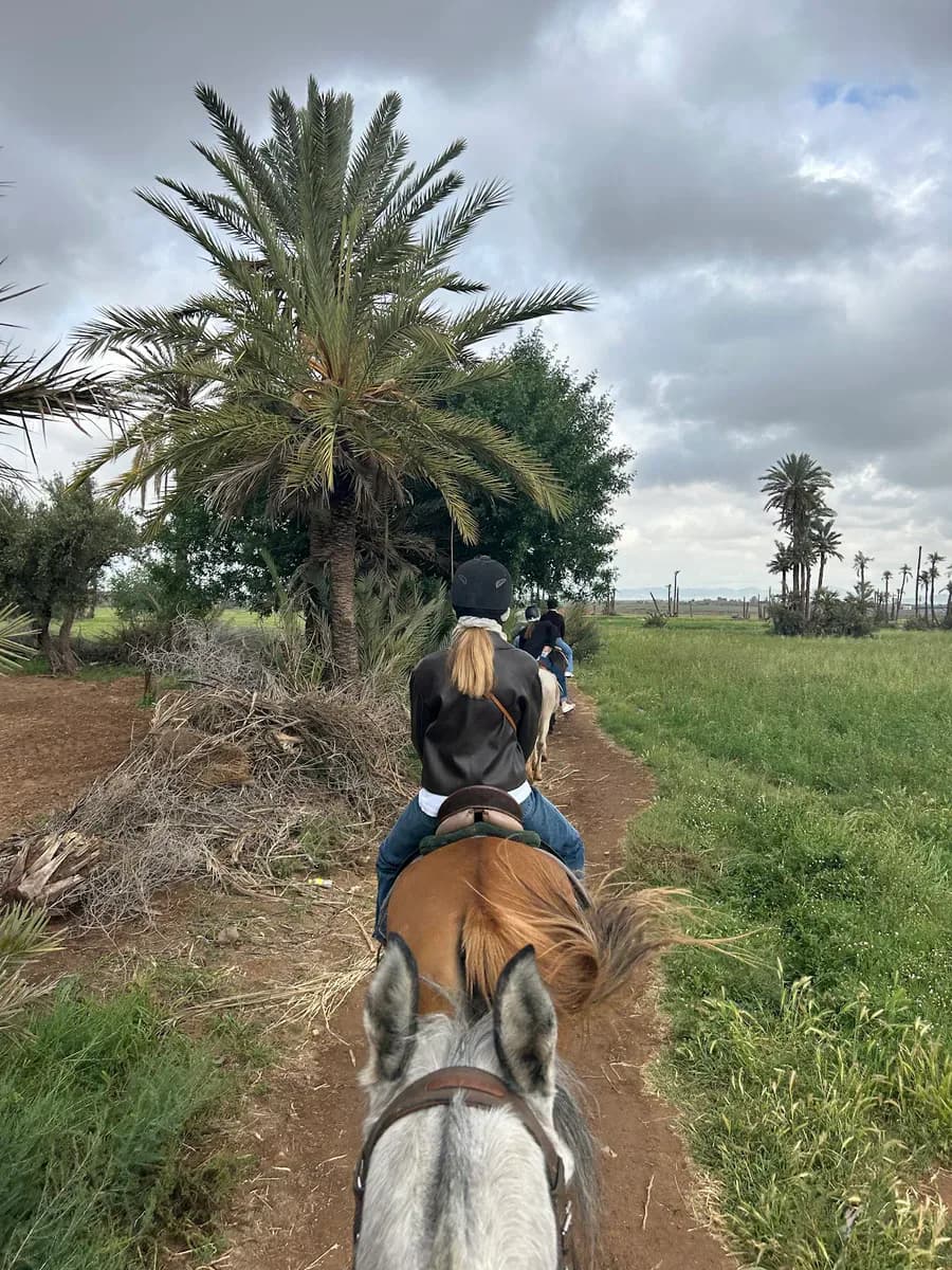 Cheval Marrakech 2