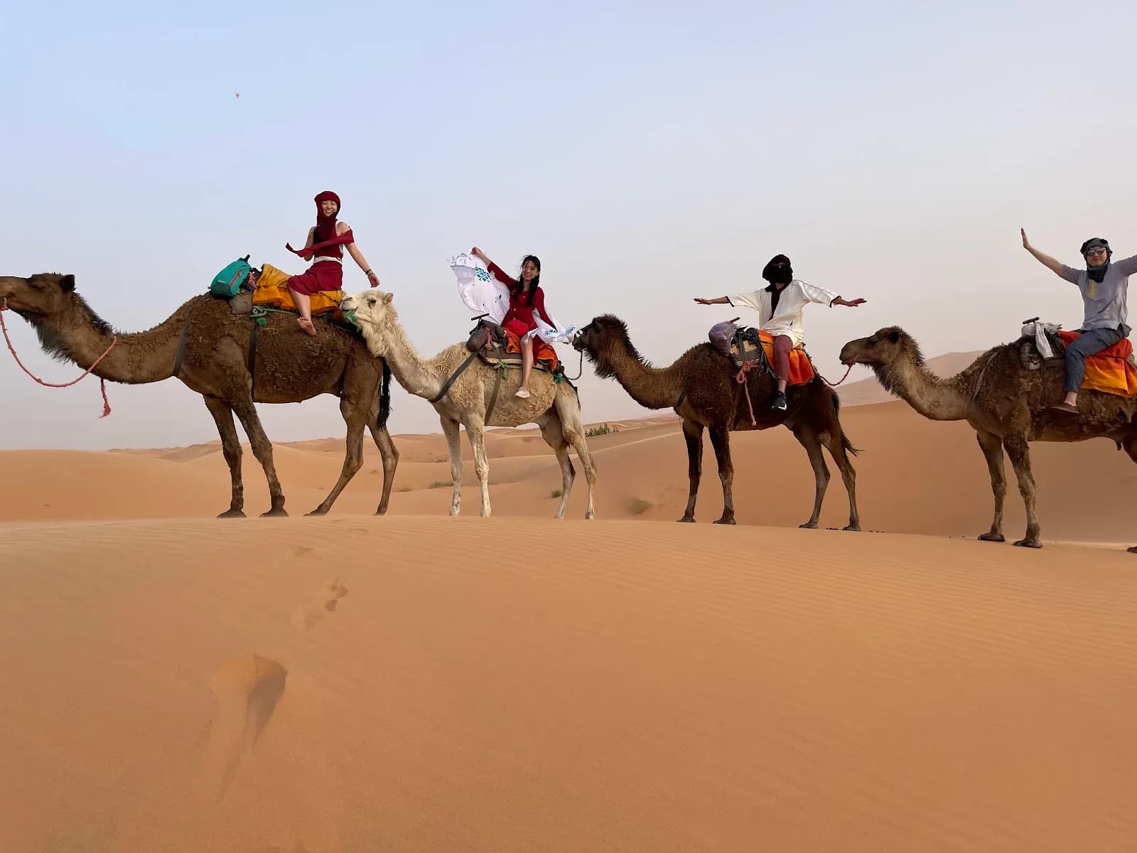 Camel Ride and Overnight in the Moroccan Desert