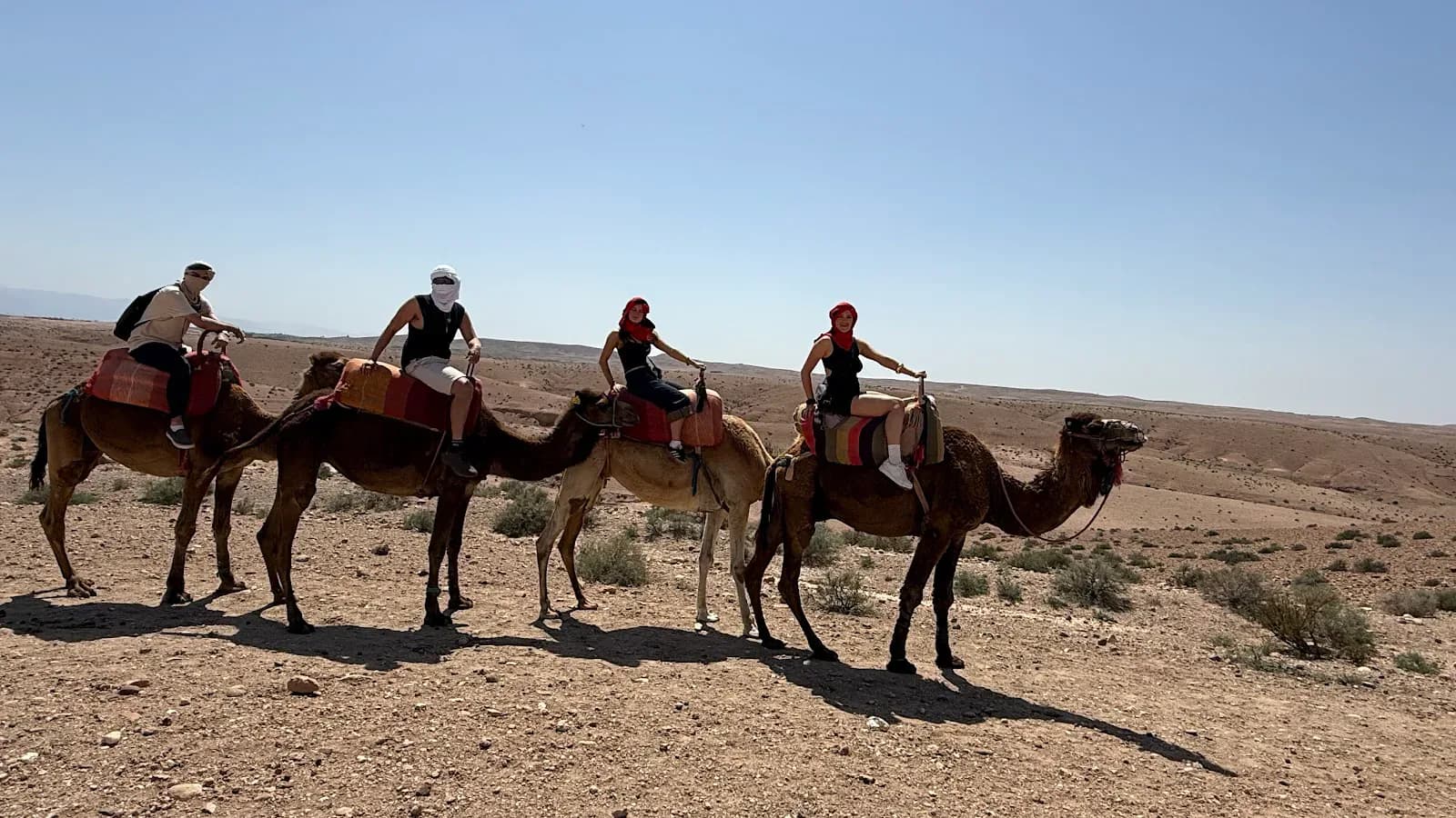 Buggy Quad Maroc 4