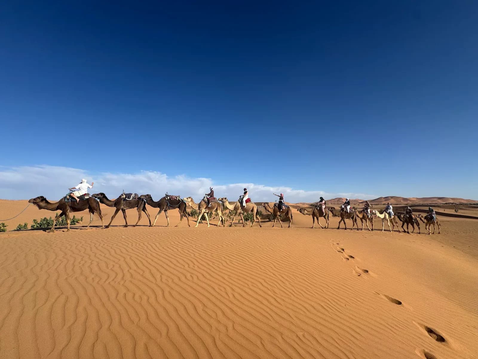 Private Tours Marrakech 2